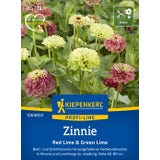 Kiepenkerl Zinnias - Red Lime & Green Lime 