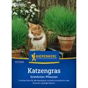 Kiepenkerl Cat Grass - 1 Pkg