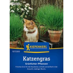 Kiepenkerl Cat Grass - 1 Pkg