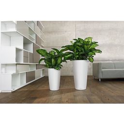 Lechuza Planter Rondo Premium 40 - white matte