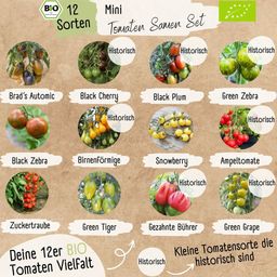 LOVEPLANTS Bio Mini-Tomatensamen Set - 1 Set