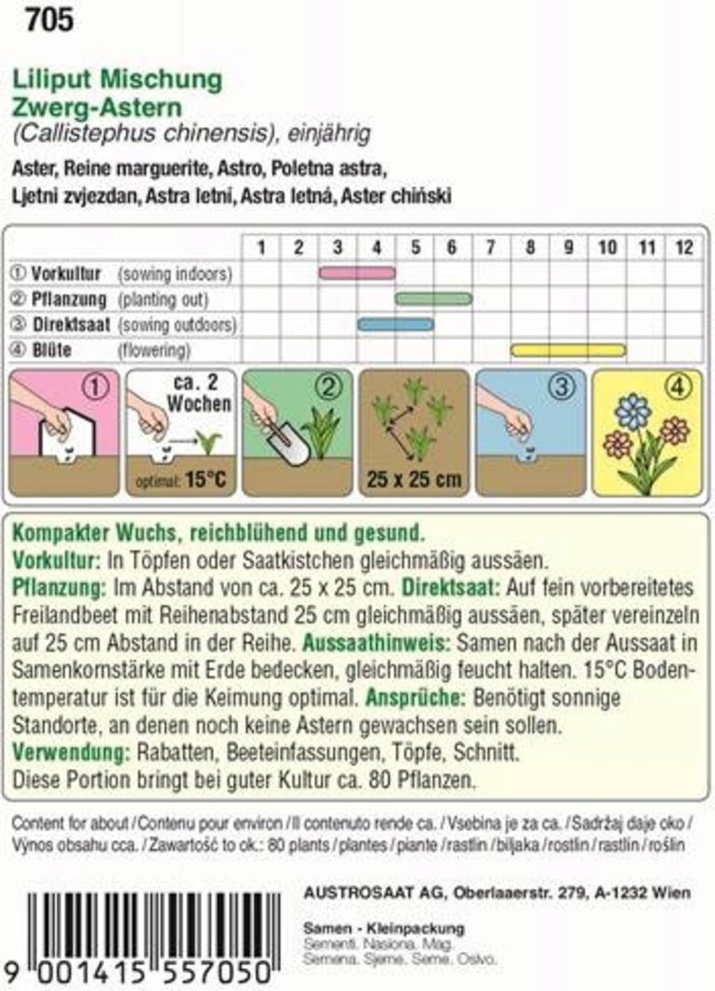 AUSTROSAAT Asters 