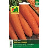 AUSTROSAAT "Berlicum2 / Romosa" Carrot