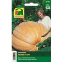 AUSTROSAAT Zucca Gigante 