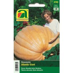 AUSTROSAAT Giant Pumpkin "Atlantic Giant"