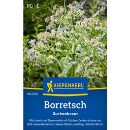 Kiepenkerl Borage - 1 Pkg