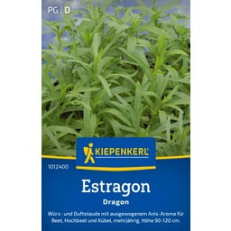 Kiepenkerl Tarragon Dragon - 1 Pkg