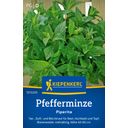 Kiepenkerl Peppermint Piperita - 1 Pkg