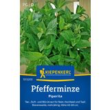 Kiepenkerl Peppermint Piperita