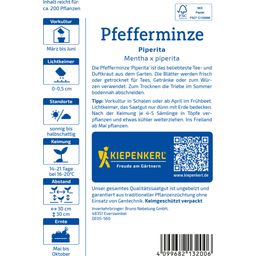 Kiepenkerl Peppermint Piperita - 1 Pkg