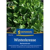 Kiepenkerl Winter Cress, Barbarakraut