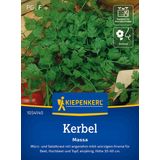 Kiepenkerl Chervil Massa