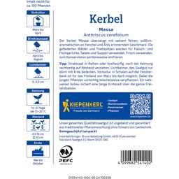 Kiepenkerl Chervil Massa - 1 Pkg