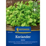 Kiepenkerl Coriander Jantar