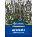 Kiepenkerl Agastache Korean Mint - 1 Pkg