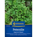 Kiepenkerl Parsley "Gigante di Napoli"