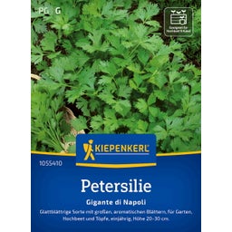 Kiepenkerl Parsley 