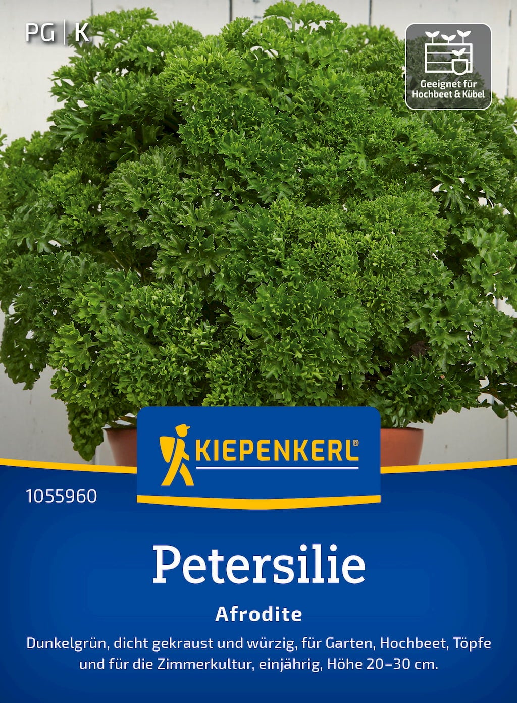 Parsley 