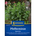 Kiepenkerl Peppermint - Spearmint - 1 Pkg