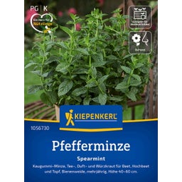 Kiepenkerl Peppermint - Spearmint - 1 Pkg