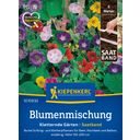 Kiepenkerl Climbing Garden Flower Seed Mix - 1 Pkg