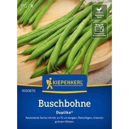 Kiepenkerl Bush Beans Duplika® - 1 Pkg