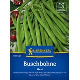 Kiepenkerl Bush Beans Maxi