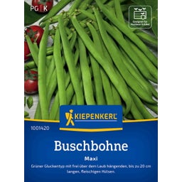 Kiepenkerl Bush Beans Maxi - 1 Pkg