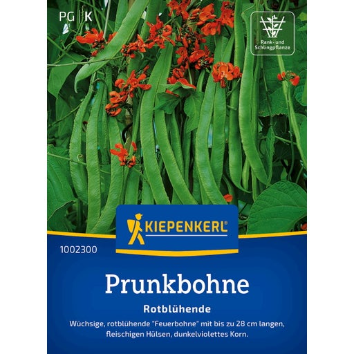 Kiepenkerl Prunkbohne Rotblühende - 1 Pkg