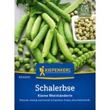 Kiepenkerl Green Pea Kleine Rheinländerin