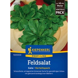 Kiepenkerl Lamb's Lettuce Gala, Value Pack - 1 Pkg