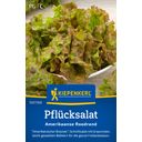 Kiepenkerl Leaf Lettuce 