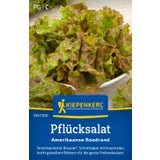 Kiepenkerl Leaf Lettuce "Amerikaanse Roodrand"