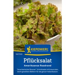 Kiepenkerl Leaf Lettuce 