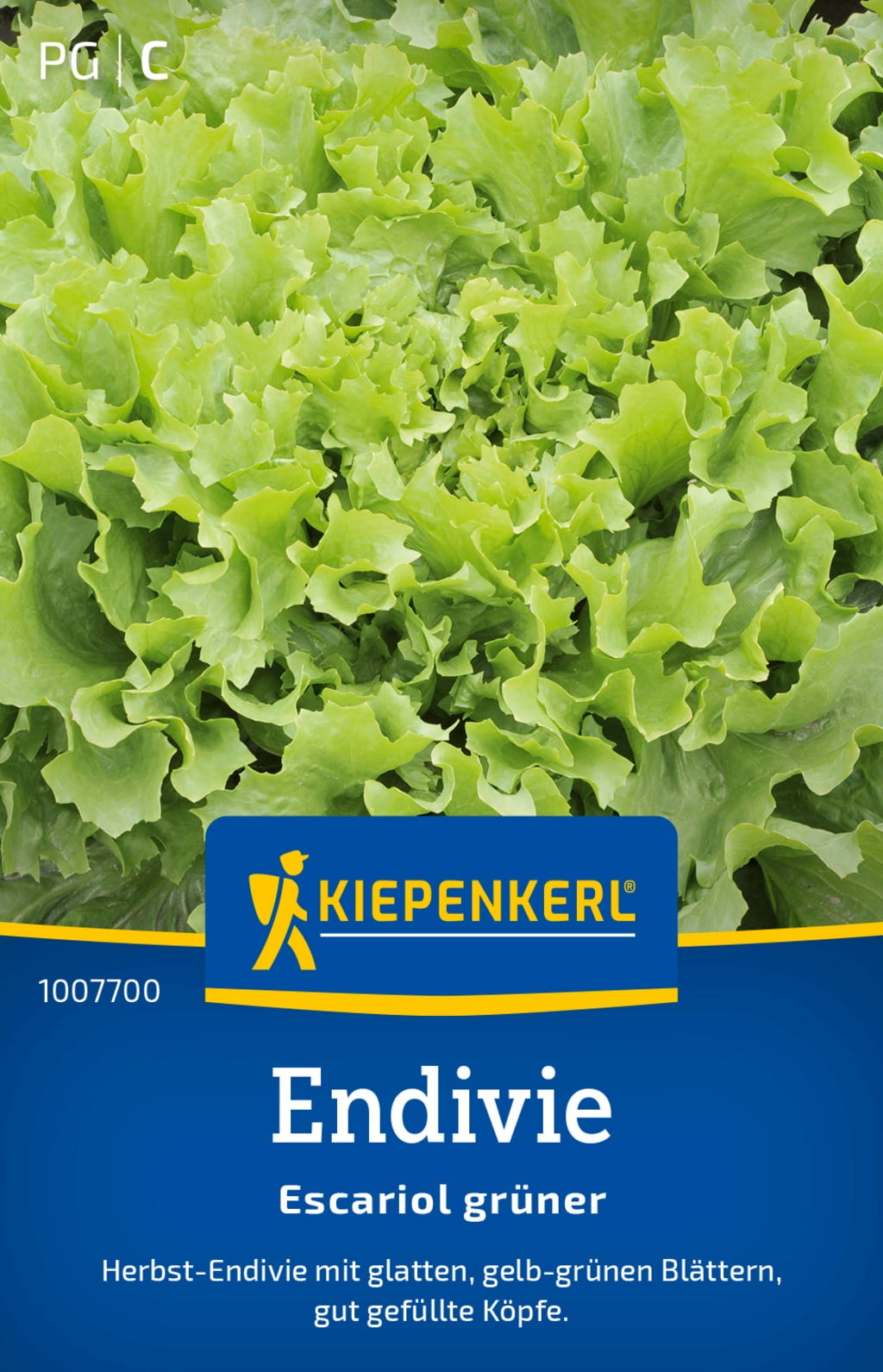 Kiepenkerl Endivien Escariol grüner - 1 Pkg