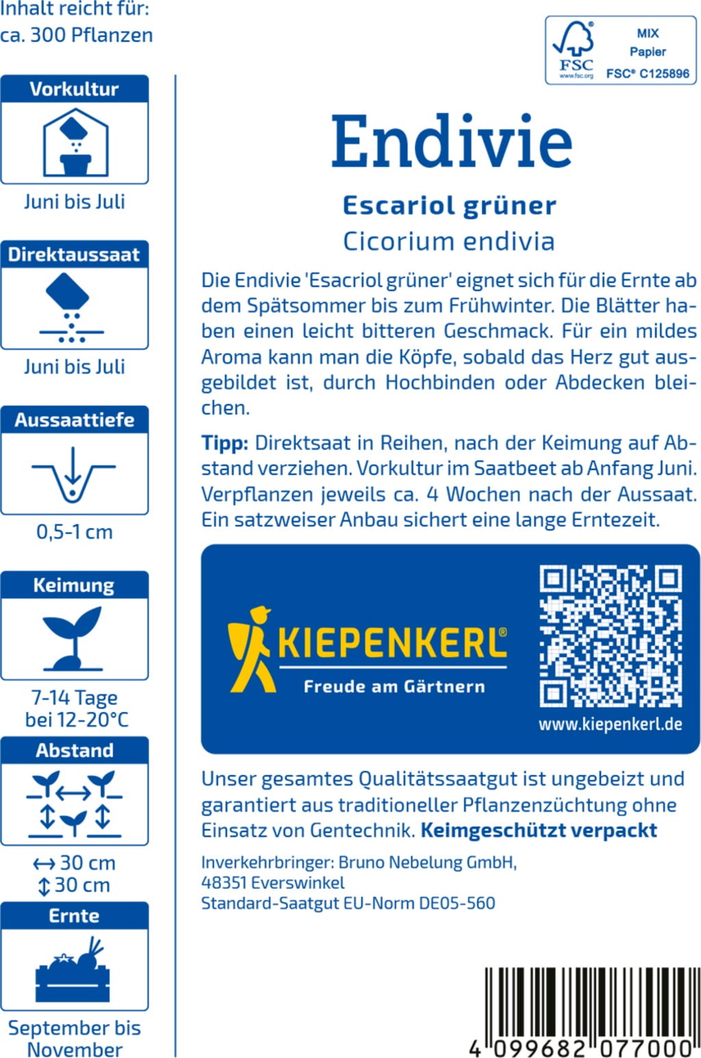 Kiepenkerl Endivien Escariol grüner - 1 Pkg