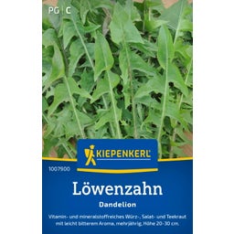 Kiepenkerl Dandelion - 1 Pkg