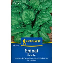 Kiepenkerl Spinach 'Matador' - 1 Pkg