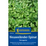 Kiepenkerl New Zealand Spinach "Tetragonia"