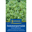 Kiepenkerl Summer Purslane 