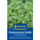 Kiepenkerl Summer Purslane "Grünes Burzelkraut"