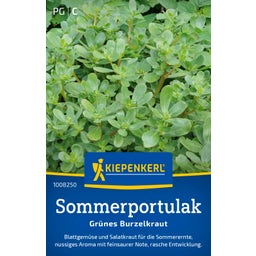 Kiepenkerl Summer Purslane 