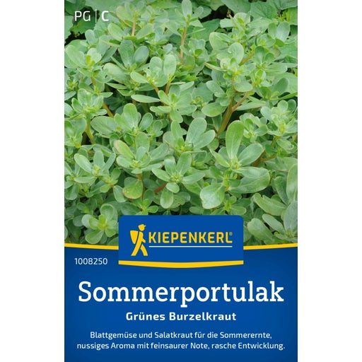 Kiepenkerl Sommerportulak Grünes Burzelkraut - 1 Pkg