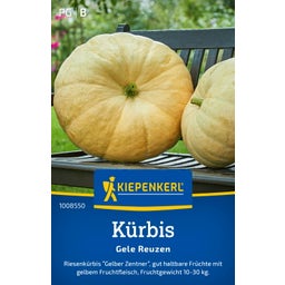 Kiepenkerl Pumpkin 