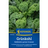 Kiepenkerl Grünkohl - Halbhoher grüner Krauser