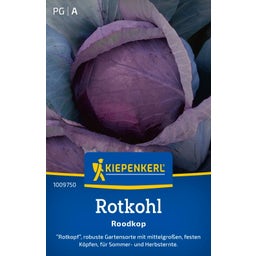 Kiepenkerl Red Cabbage 