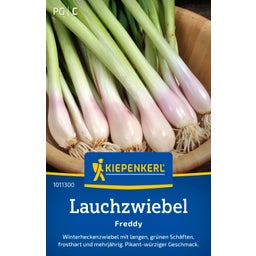 Kiepenkerl Spring Onion Freddy - 1 Pkg