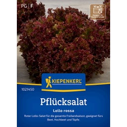 Kiepenkerl Leaf Lettuce Lollo Rossa - 1 Pkg