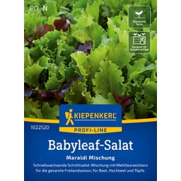 Kiepenkerl Insalata Babyleaf - Maraldi Mischung - 1 conf.