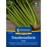 Kiepenkerl Celery "Tango"